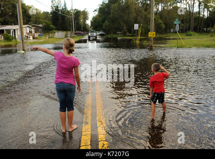 Elfers, Stati Uniti. Xiii Sep, 2017. 13 settembre 2017- elfers, Florida, Stati Uniti - i bambini a piedi in una strada che ha allagato con acqua dal fiume anclote in elfers, Florida il 13 settembre 2017. Il fiume è salito a quattro piedi sopra alluvione in fase dopo il passaggio dell uragano irma. Credito: Paul Hennessy/alamy live news Foto Stock