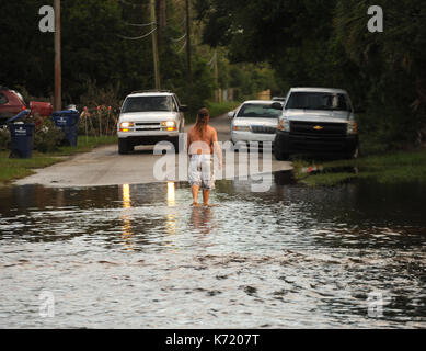 Elfers, Stati Uniti. Xiii Sep, 2017. 13 settembre 2017- elfers, Florida, Stati Uniti - un uomo cammina in una strada che ha allagato con acqua dal fiume anclote in elfers, Florida il 13 settembre 2017. Il fiume è salito a quattro piedi sopra alluvione in fase dopo il passaggio dell uragano irma. Credito: Paul Hennessy/alamy live news Foto Stock