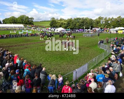 Cumbria, Regno Unito. 14 settembre 2017. Vedute aeree del Westmorland County Show in Cumbria. È il 218° show iniziato nel 1799. Il sole splendente ha incontrato migliaia di visitatori all'evento annuale presso la fiera vicino alla M6. Le varie attrazioni includono sale ristoro, artigianato, veicoli agricoli, spettacoli di animali ed equitazione. Foto scattata il 14/09/2017. Credito: Interrompi stampa Media/Alamy Live News Foto Stock