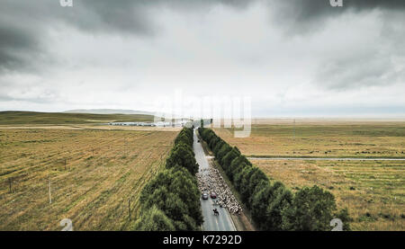 Guinan. Xiv Sep, 2017. Foto aeree prese su sept. 14, 2017 mostra una mandria di bovini e ovini in avanzamento lungo una strada durante la migrazione annuale nel periodo guinan county, a nord-ovest della Cina di Provincia di Qinghai. Credito: wu pista/xinhua/alamy live news Foto Stock