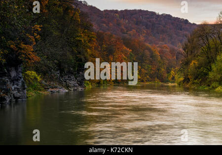 Foresta Fiume in autunno le montagne. bella riva erbosa con ingiallito alberi e scogliera rocciosa. splendida natura scenario autunnale Foto Stock