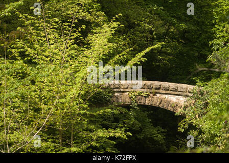 Jesmond Dene, Tyne and Wear, Regno Unito Foto Stock