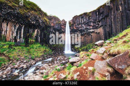 Ottima vista della cascata svartifoss. drammatica e pittoresca scena. popolare attrazione turistica. Islanda Foto Stock