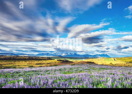 Pittoresche vedute del fiume e le montagne in Islanda Foto Stock