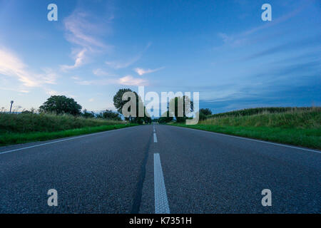 Infinite via rettilinea attraverso il viale di alberi verdi all'alba con striscia mediale Foto Stock