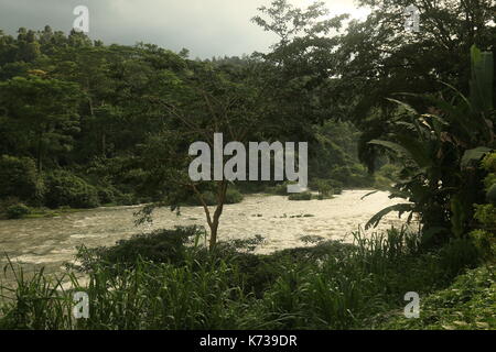 Kitulgala river, il ponte sul fiume Kwai, Sri lanka, fiume, giungla, sud est asiatico, sri lanka jungle, river rapids, fiume tropicale, esotica Foto Stock