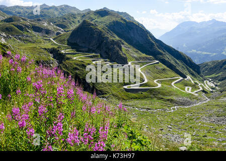 Tremola vecchia strada che conduce a San Gottardo sulle alpi svizzere Foto Stock