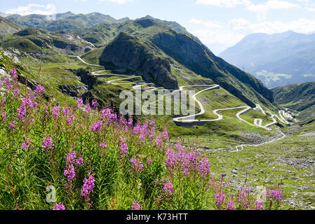 Tremola vecchia strada che conduce a San Gottardo sulle alpi svizzere Foto Stock
