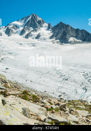 Ghiacciaio di le tour e chardonnait dal rifugio Albert Premier, Chamonix Mont Blanc, Francia Foto Stock