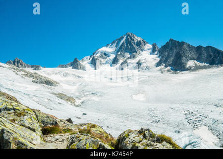 Ghiacciaio di le tour e chardonnait dal rifugio Albert Premier, Chamonix Mont Blanc, Francia Foto Stock