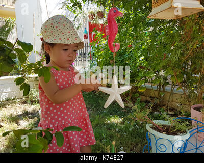 Poco carino bambina gioca con giardino giocattoli in Curiosità Foto Stock