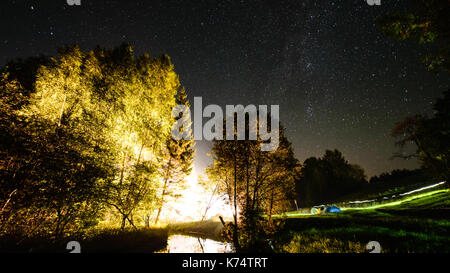 Colorato via lattea visto nel cielo notturno attraverso gli alberi di nero nella foresta Foto Stock