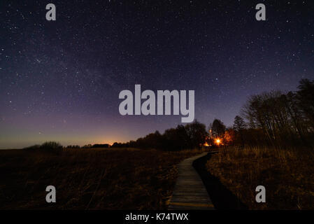 Colorato via lattea visto nel cielo notturno attraverso gli alberi di nero nella foresta Foto Stock