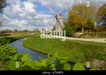 Saint-Omer (Francia settentrionale): sale marzo di Saint-Omer Foto Stock