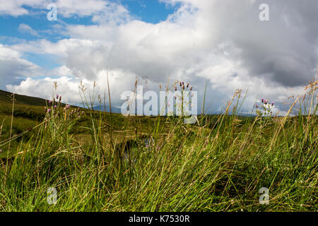 Galloway Forest park con drammatica del cielo Foto Stock