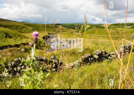 Galloway Forest park con drammatica del cielo Foto Stock