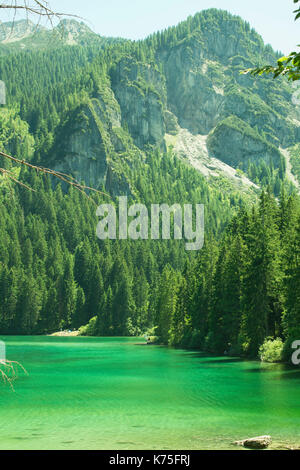 L'Italia, Trentino Alto Adige ,riflessione nel lago di Tovel. Foto Stock