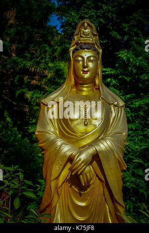 Imponenti statue d'oro presso il Monastero dei Diecimila Buddha in Sha Tin, hong kong Foto Stock