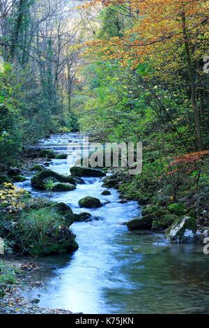 Francia, Drome, Ombleze, Gole di Ombleze, fiume La Gervanne Foto Stock