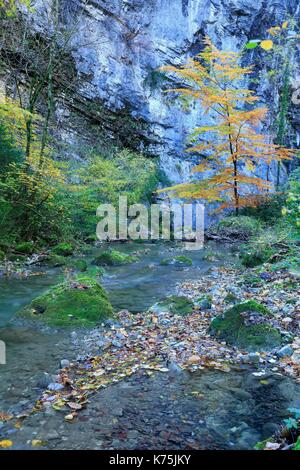 Francia, Drome, Ombleze, Gole di Ombleze, fiume La Gervanne Foto Stock