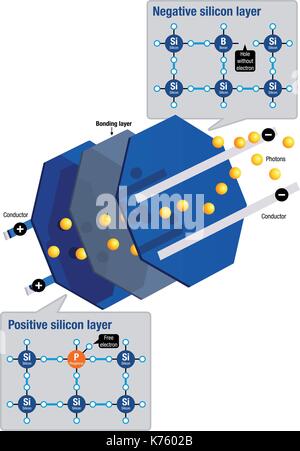 Componenti e funzionamento di una cella solare su sfondo bianco. Dimensioni A4 - Energia rinnovabile - immagine vettoriale Illustrazione Vettoriale