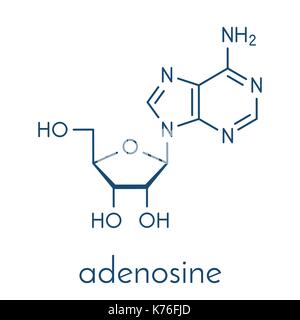 L'adenosina (ADO) nucleoside di purina molecola. Componente importante di ATP, ADP, camp e rna. utilizzato anche come farmaco. formula scheletrico. Illustrazione Vettoriale