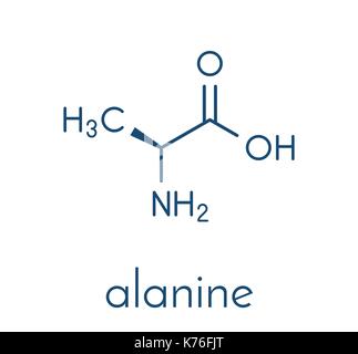 Alanina (l-alanina, ala, un) aminoacido molecola di formula scheletrico. Illustrazione Vettoriale