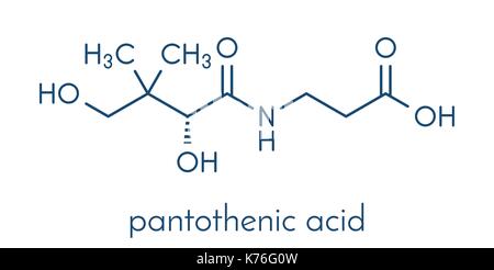 Vitamina B5 (acido pantotenico, pantotenato). molecola di formula scheletrico. Illustrazione Vettoriale