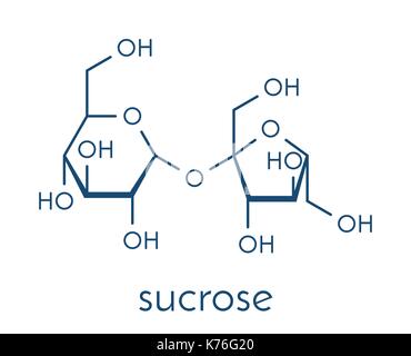 Saccarosio molecola di zucchero. Noto anche come lo zucchero da tavola, lo zucchero di canna o di barbabietola. formula scheletrico. Illustrazione Vettoriale