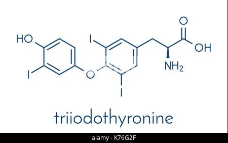 Triiodotironina (t3, liotironina) di ormone tiroideo molecola. ipofisi ormone. utilizzato anche come farmaco per il trattamento di ipotiroidismo. formula scheletrico. Illustrazione Vettoriale