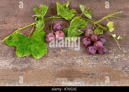 Grappolo di uva rossa sul vecchio vintage tavolo in legno Foto Stock