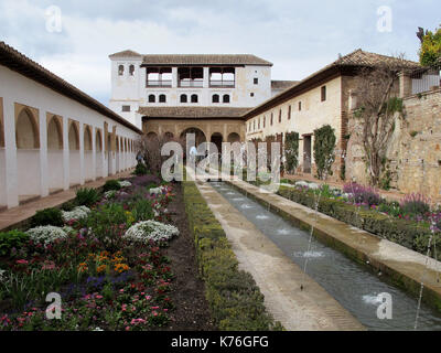 Patio de le azequia, Alhambra Palace, Granada, Andalusia, Spagna, Europa Foto Stock