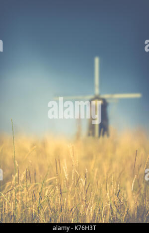 Retro vintage stile campo di grano con un mulino a vento in background con dof poco profondo Foto Stock