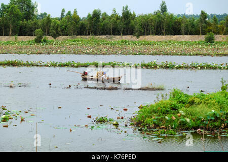 Dong Thap, Viet Nam, vietnamita uomo immersione in acqua e spingere la barca di legno per la cattura di pesci da pescare pot, agricoltore anfibia sul campo inondato Foto Stock