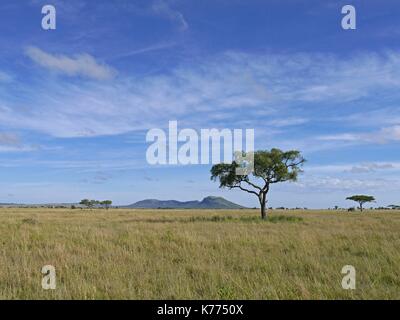 Le vaste pianure del Serengeti National Park, Tanzania Foto Stock