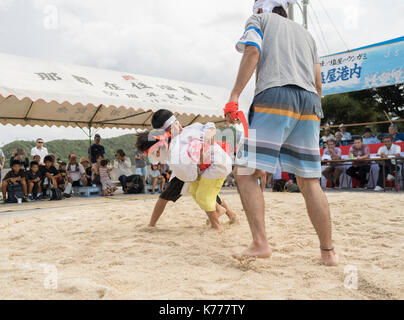 I bambini delle elementari che partecipano tegumi una forma tradizionale di wrestling di Okinawa. Shioya, Ogimi Village, Okinawa, in Giappone Foto Stock