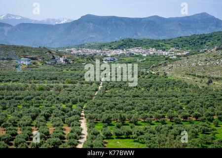 La Grecia, Creta orientale, Lassithi distretto, Mohos villaggio sul modo di Lassithi plateau Foto Stock