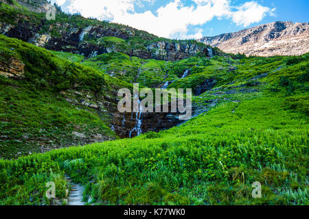 La fauna selvatica fiori Parco nazionale Glacier paesaggi Foto Stock