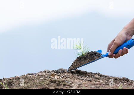 Per piantare un piccolo stabilimento su una pila di suolo. come salvare il concetto del mondo. Foto Stock