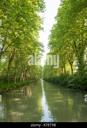 L'alberato canal latéral à la garonne nella regione della Dordogne del sud-ovest della Francia. Foto Stock