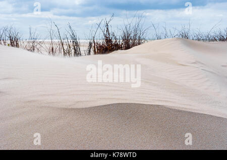 Paesaggio di dune di sabbia nella riserva nazionale del Westhoek nella città di De Panne lungo la costa del Mare del Nord del Belgio. Foto Stock