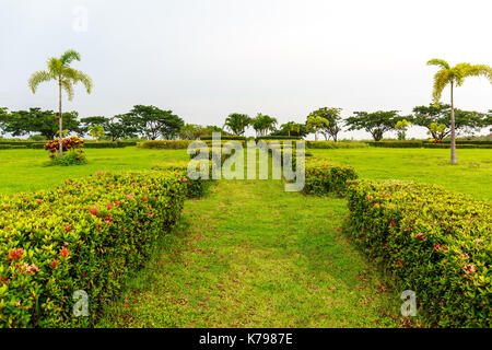 Erba verde il percorso che conduce al centro di un giardino curato e accompagnata da due righe di bellissimi fiori e piante. Foto Stock