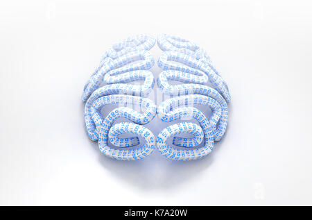 Un cervello stilizzato testurizzato con binari di dati di computer raffigurante il codice di intelligenza artificiale isolato su un sfondo bianco - 3D render Foto Stock