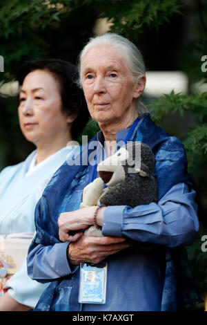 (170915) -- nazioni unite, sept. 15, 2017 (Xinhua) -- messaggero di pace delle Nazioni Unite Jane Goodall (r) assiste una campana-cerimonia che squilla presso la sede delle Nazioni Unite a New York, sept. 15, 2017. nazioni unite il segretario generale Antonio Guterres venerdì ha messo in evidenza la situazione dei rifugiati e dei migranti e la necessità per porre fine ai conflitti in occasione per segnare la giornata internazionale della pace, o la giornata mondiale della pace. la campana della pace cerimonia è un rito annuale presso la sede delle Nazioni unite, in cui la campana della pace è registrata dal segretario generale dell'ONU per le celebrazioni della Giornata mondiale della pace, che cade su sept. 21. (Xinhu Foto Stock