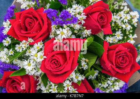 Messa a fuoco ravvicinata sul fresco bouquet di fiori di fioritura di rose rosse decorate da bianchi e violetti piccoli fiori all'interno di foglie verdi. Foto Stock