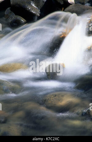 Donner und Blitzen Wild & Scenic River, Riddle Ranch nazionale quartiere storico, Steens Mountain Recreation Area, Oregon Foto Stock