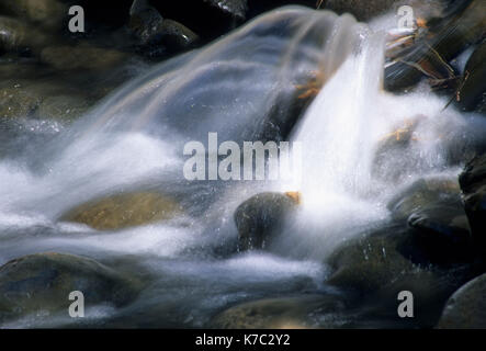 Donner und Blitzen Wild & Scenic River, Riddle Ranch nazionale quartiere storico, Steens Mountain Recreation Area, Oregon Foto Stock