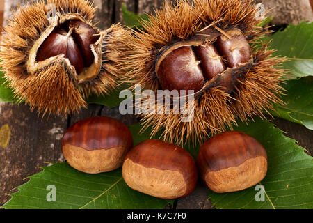 Deliziose castagne e foglie su un vecchio tavolo in legno Foto Stock