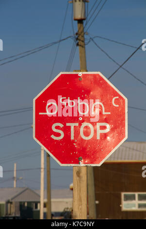 Multilingue del traffico su strada segno di stop in inuktitut (sillabiche), in inglese e in francese Foto Stock