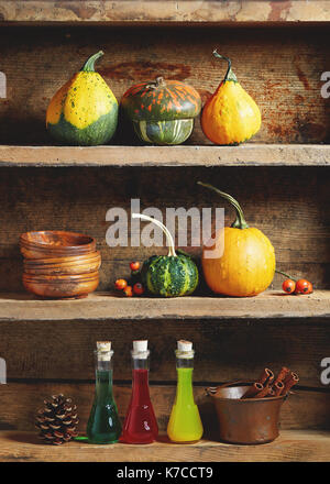 Disposizione di autunno: vari tipi di motivi decorativi e zucche commestibili con la pozione magica bottiglie andbowls su vecchi scaffali in legno. Foto Stock
